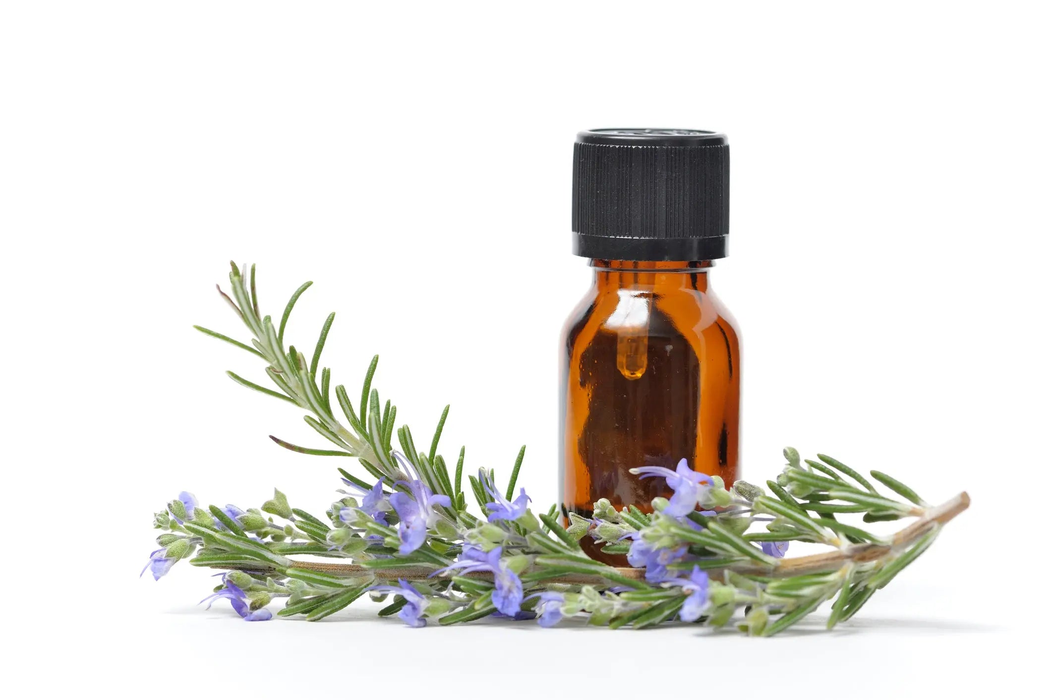 One-Hit-Wonder-Intimacy-Oil-s-use-of-Rosemary-Extract One Hit Wonder